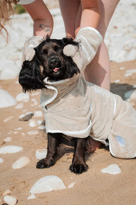 Holidaying With Your Dog: 10 Things to Pack Before You Go