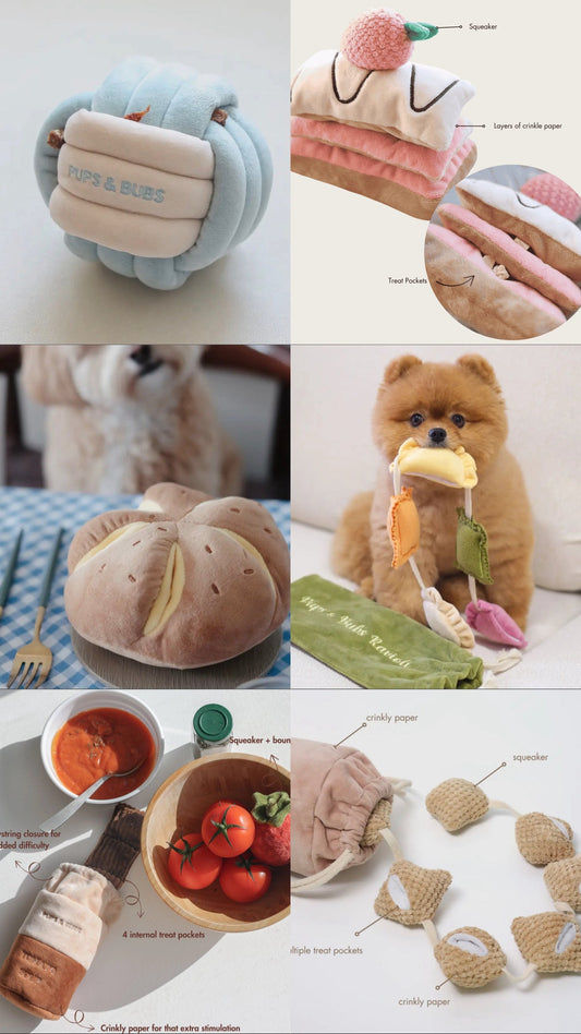 Why Enrichment Toys Can Be Just as Valuable as a Long Walk