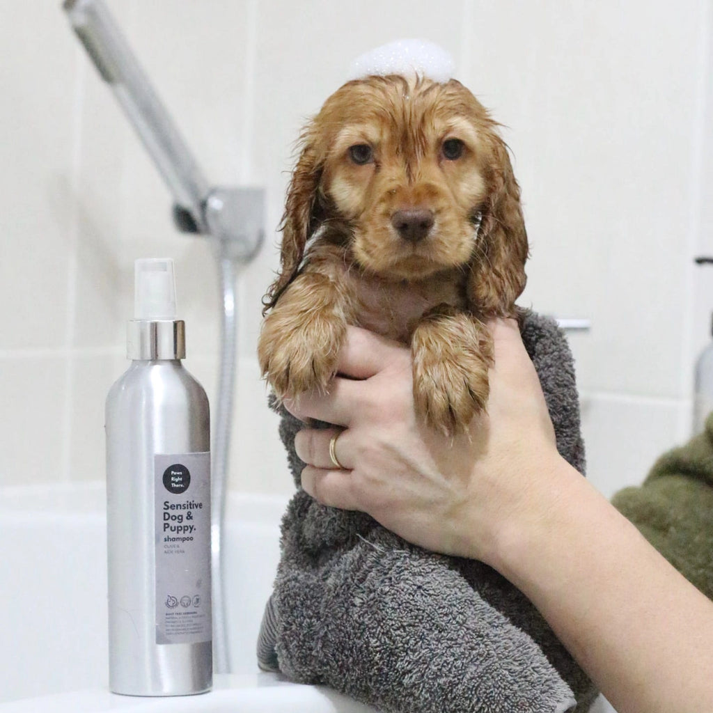 Puppy Shampoo | Sensitive Dog shampoo | Natural Olive & Aloe