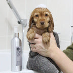 Puppy Shampoo | Sensitive Dog shampoo | Natural Olive & Aloe