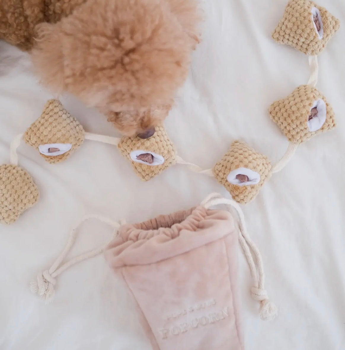 Popcorn Nose-workEnrichment Toy | Snuffle |Squeaker