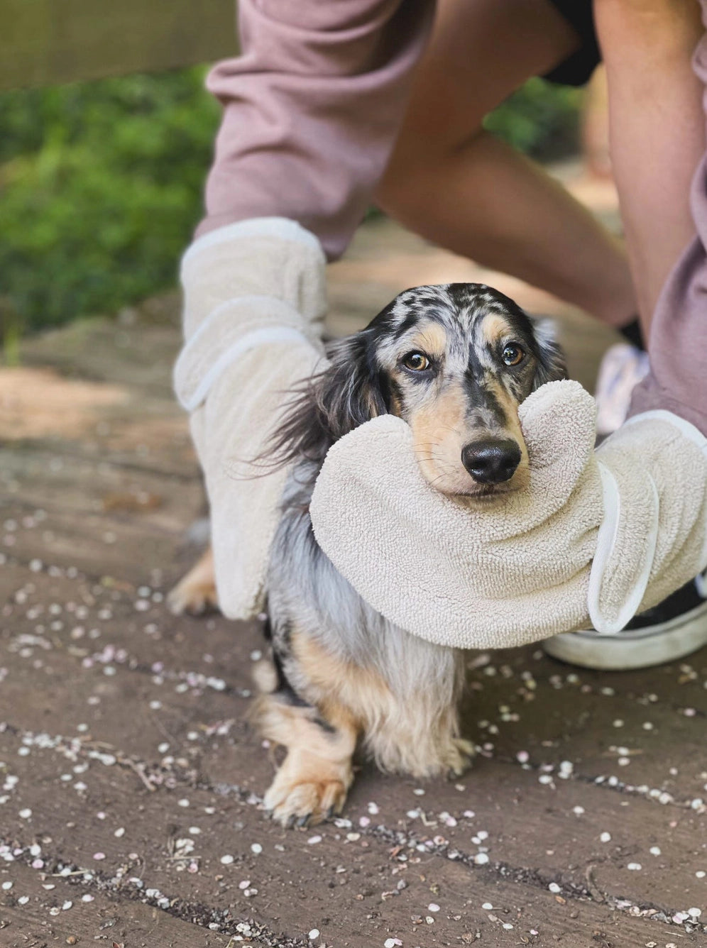 Luxury Dog Drying Gloves