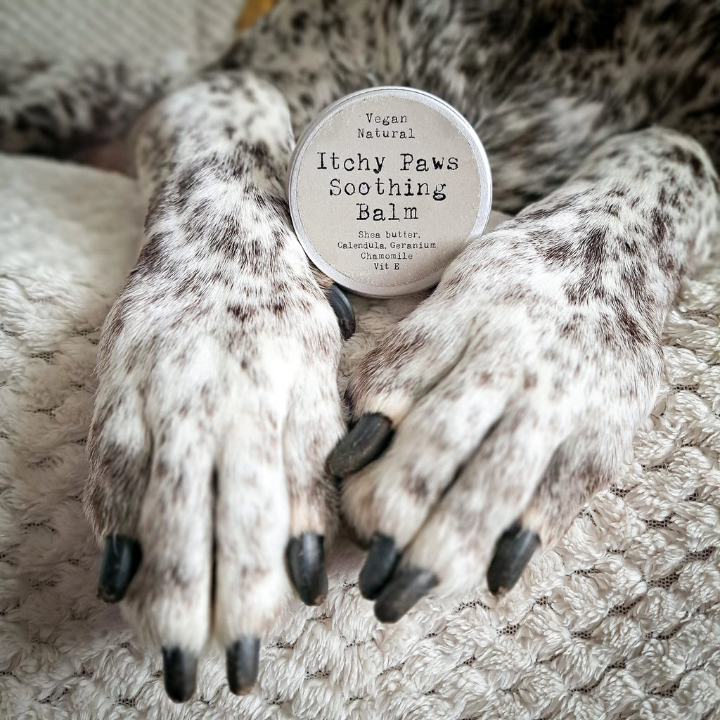 Itchy Paws Soothing Dog Balm