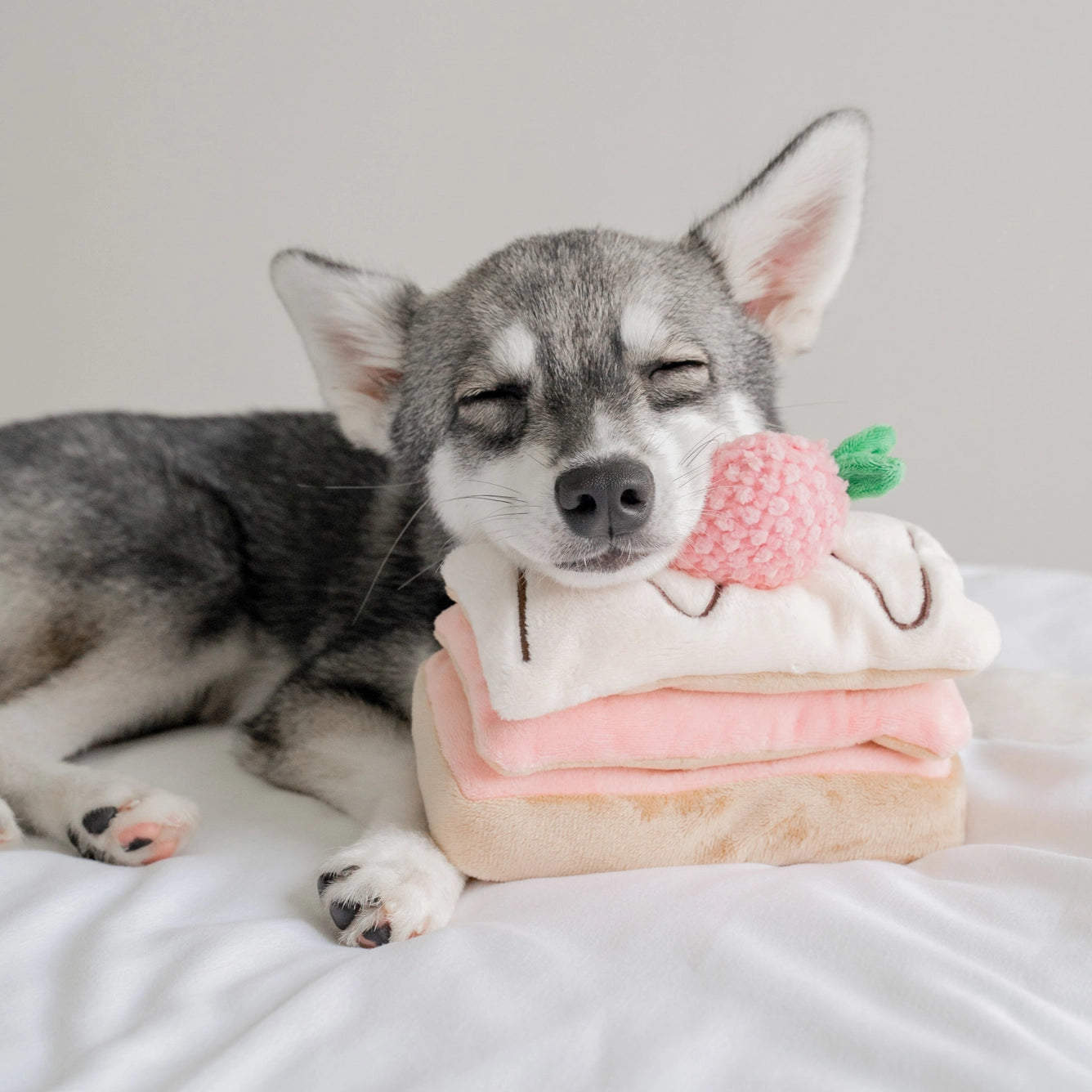 Strawberry Mille-Feuille Nose-work Toy