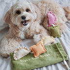 Ravioli Nose-work Enrichment Toy | Squeaker Crinkle