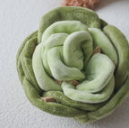 Snuffle Cabbage Nosework Toy