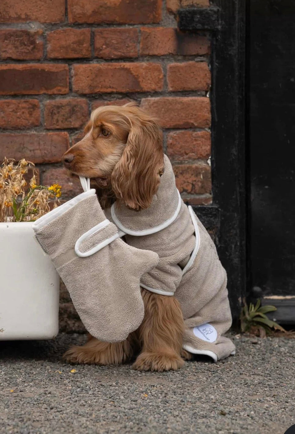 Luxury Dog Drying Gloves
