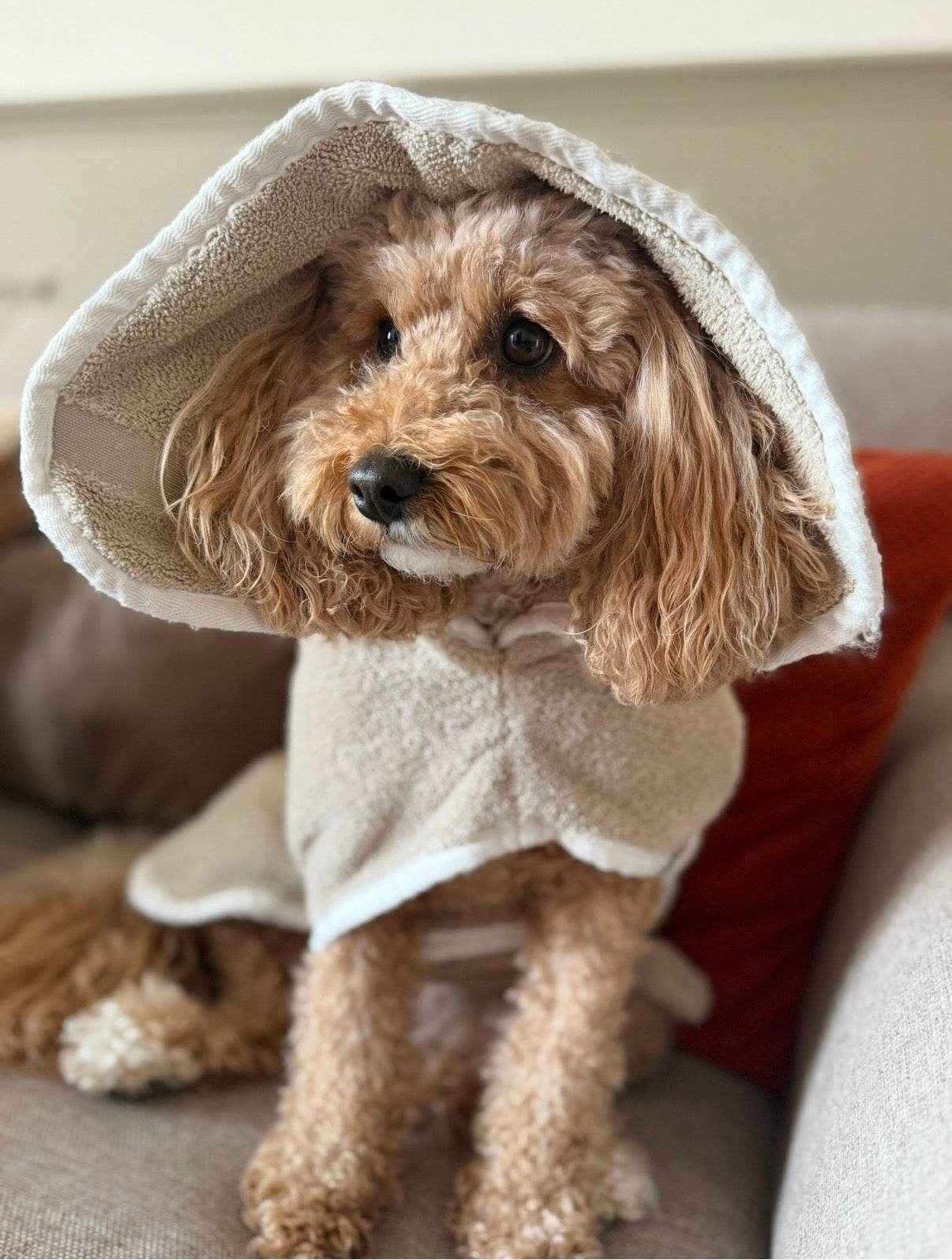 The Nellu Post-walk Ritual Bundle