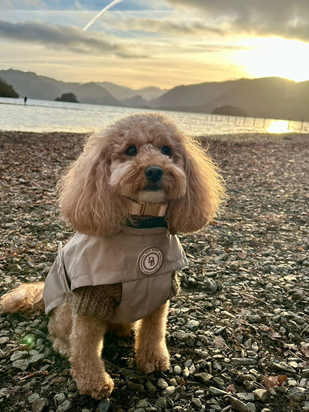 Rain Jacket