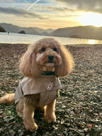Rain Jacket