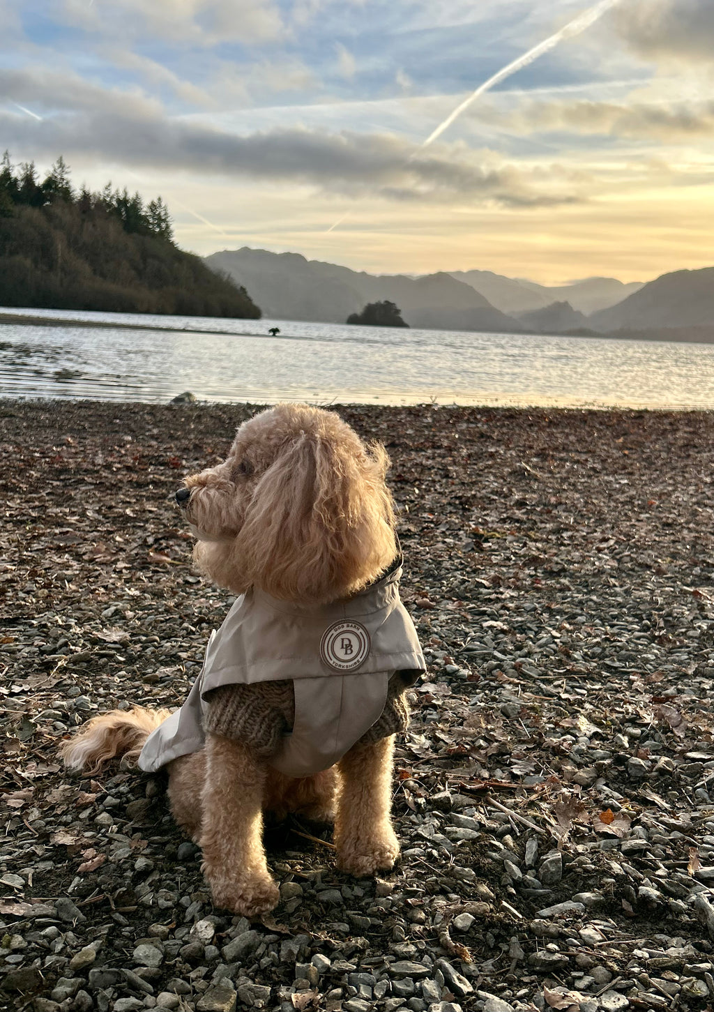 Rain Jacket