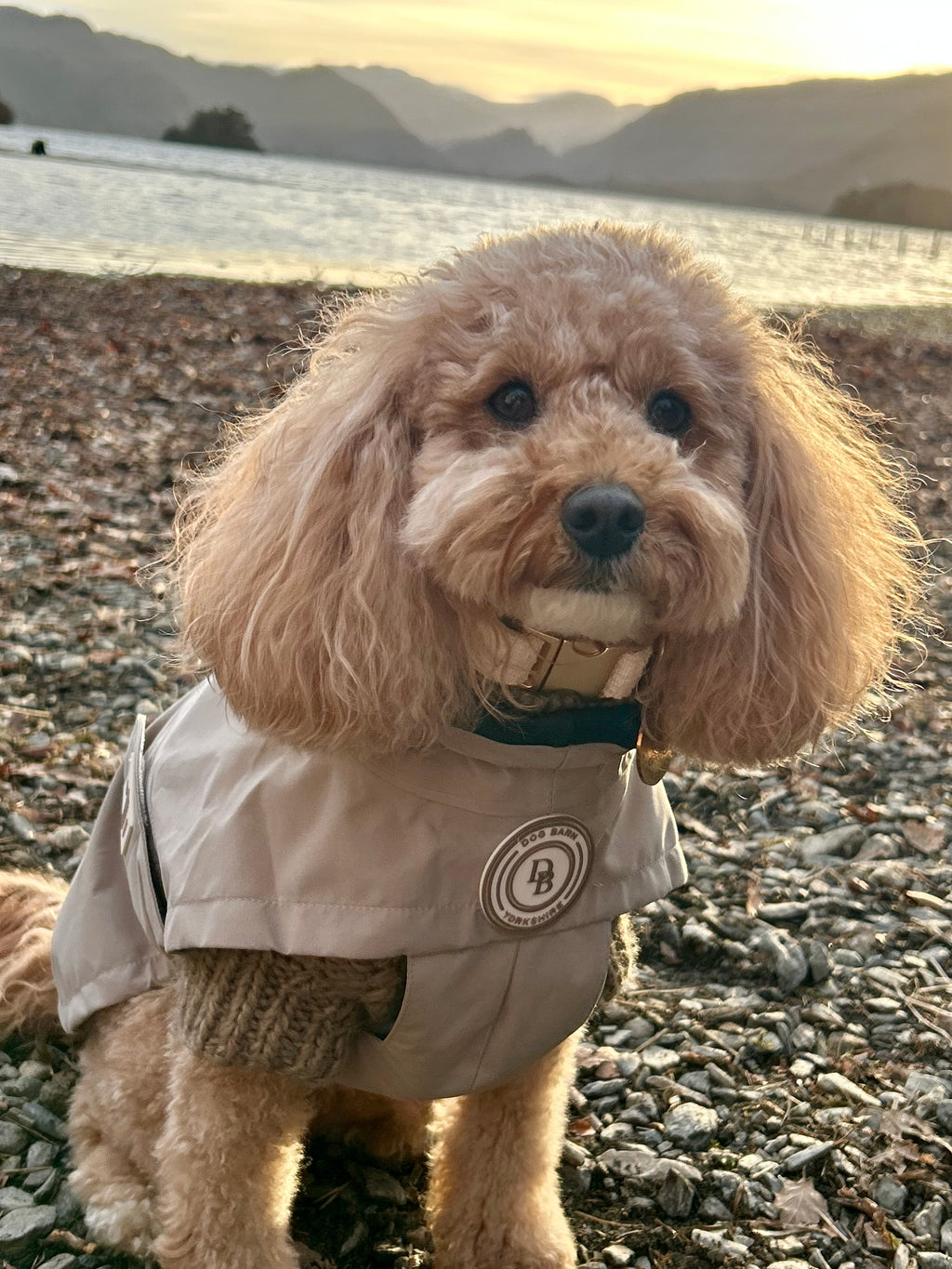 Rain Jacket