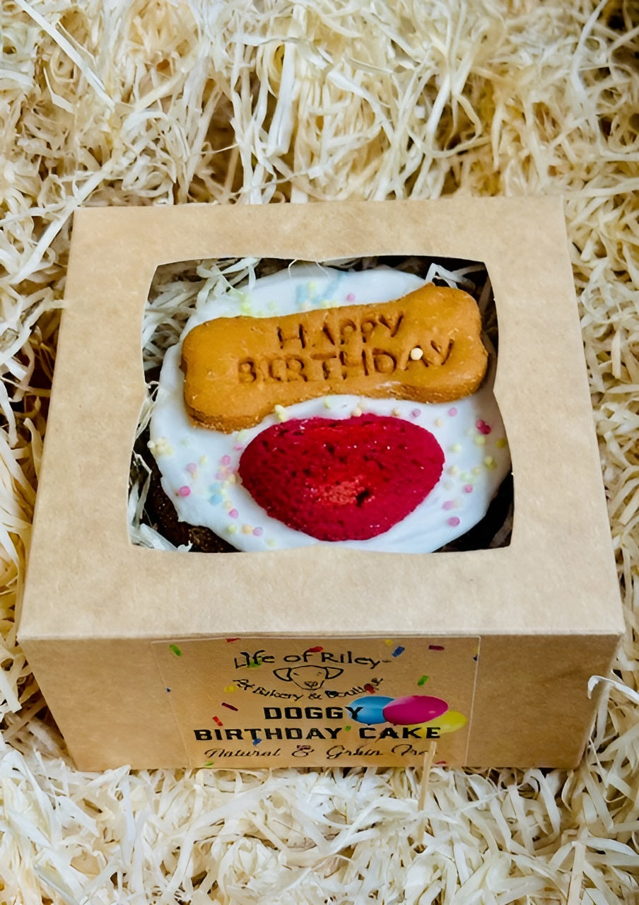 The Nellu Birthday Bundle - with Cheesy Bread Enrichment Toy