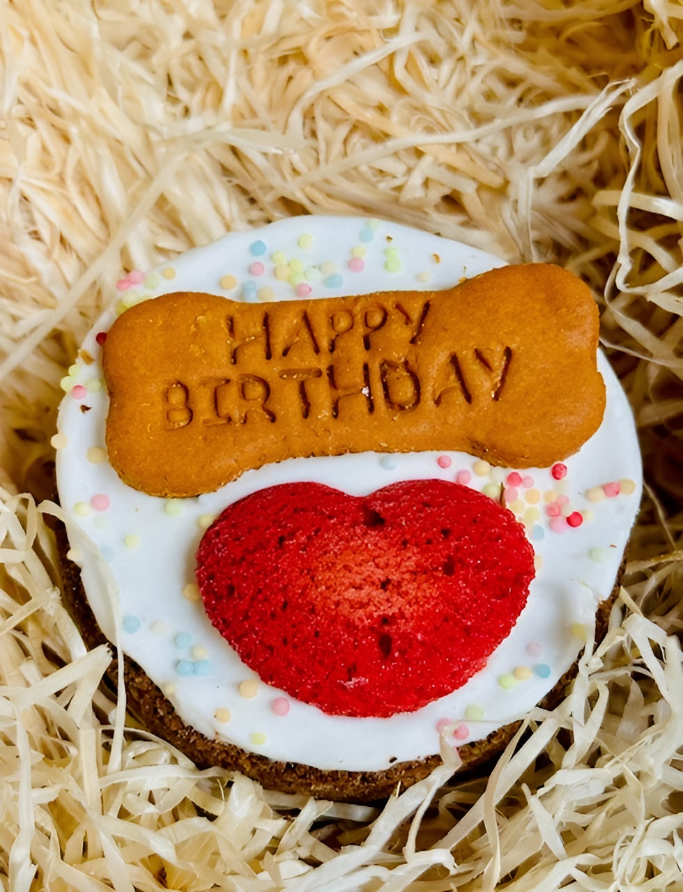 Doggy Birthday Cake