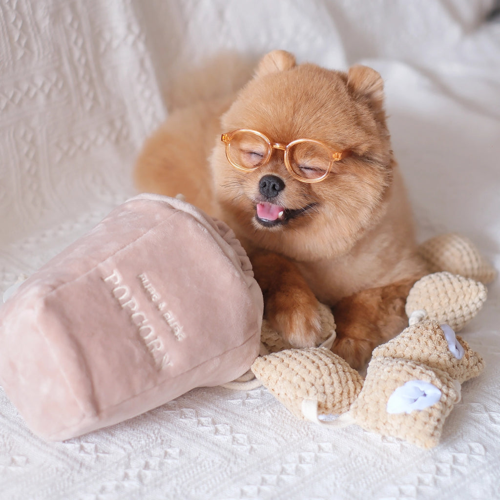 Popcorn Nose-workEnrichment Toy | Snuffle |Squeaker