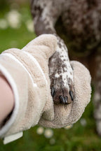 Luxury Dog Drying Gloves