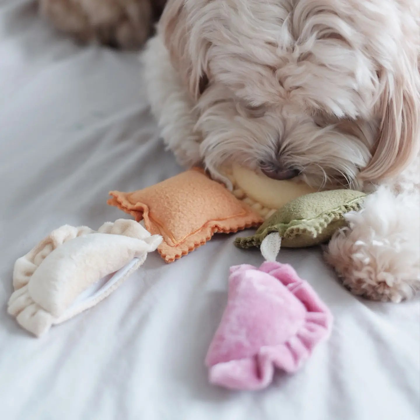 Ravioli Nose-work Enrichment Toy | Squeaker Crinkle