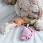 The Nellu Puppy Bundle