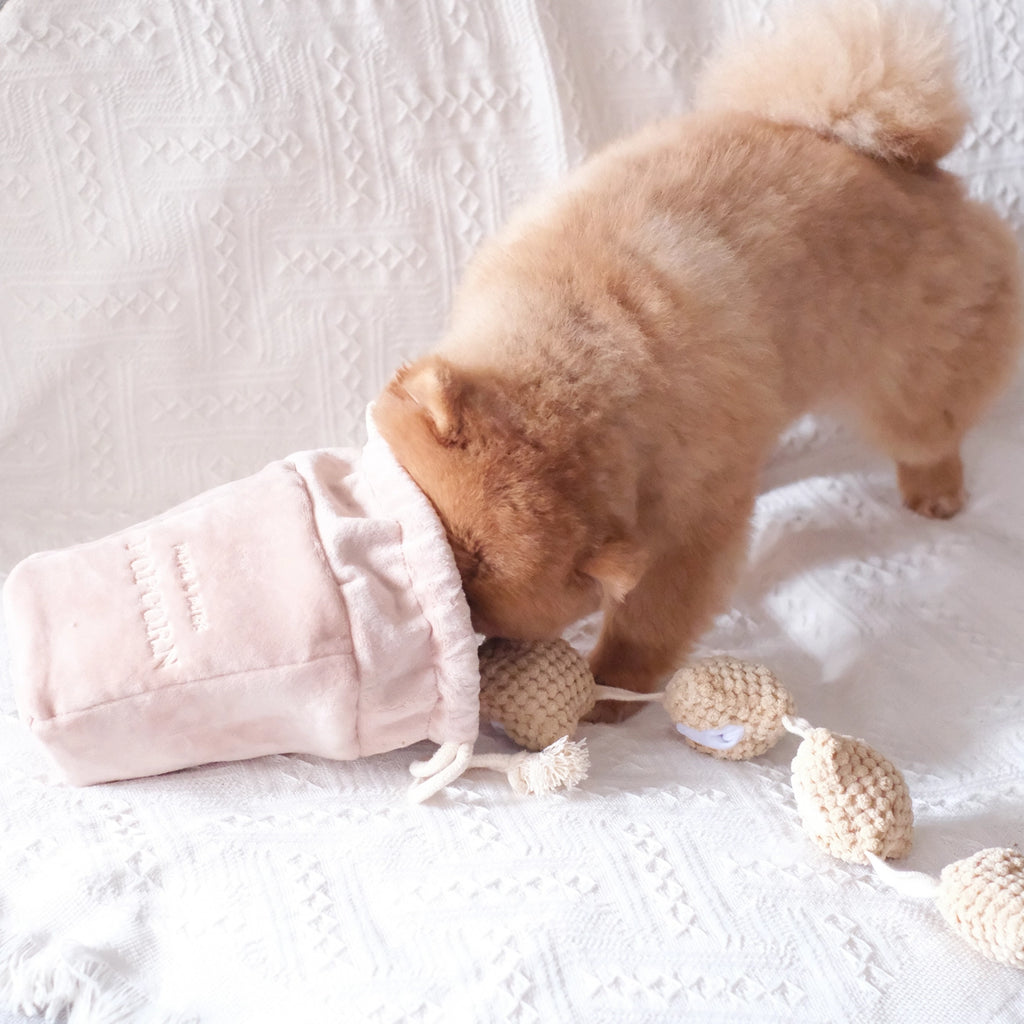 Popcorn Nose-workEnrichment Toy | Snuffle |Squeaker